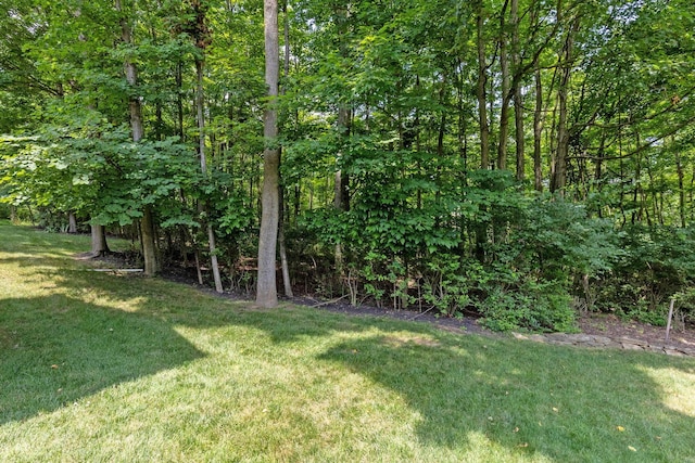 5830 Rothesay Ct, Dublin, OH 43017 - photo 62