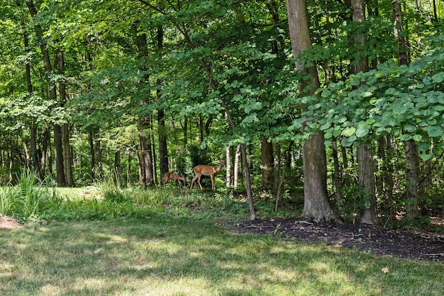 5830 Rothesay Ct, Dublin, OH 43017 - photo 63