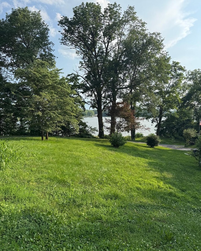 36 High St, Thornville, OH 43076 - photo 5