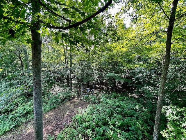 246 Leslie Ln, Piketon, OH 45661 - photo 26