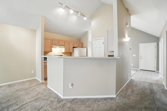 305 Lazelle Place Ln, Lewis Center, OH 43035 - photo 10
