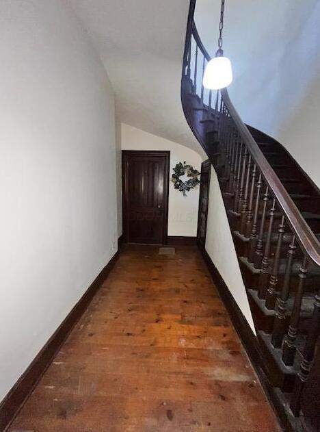 59 E William St, Delaware, OH 43015 - photo 4