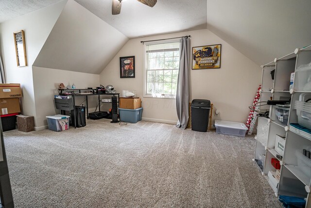 1857 Patton Hill Rd, Chillicothe, OH 45601 - photo 21