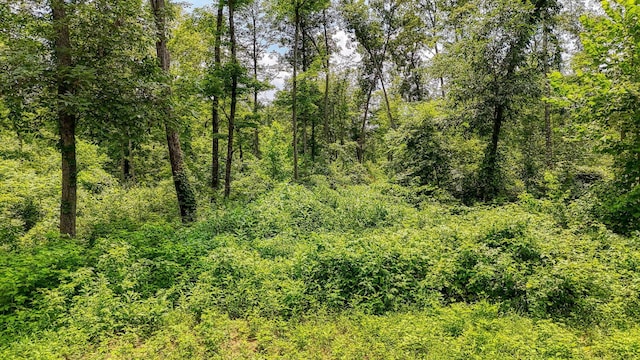 8143 Royalton Rd SW, Lancaster, OH 43130 - photo 9
