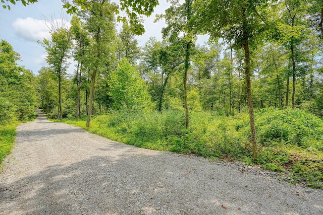 8143 Royalton Rd SW, Lancaster, OH 43130 - photo 6