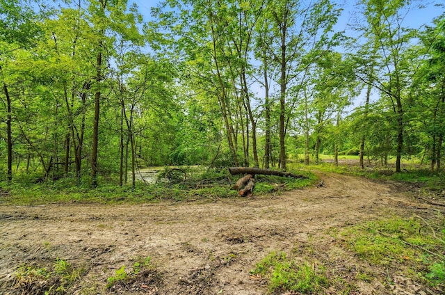 0 Riley Rd, Johnstown, OH 43031 - photo 9