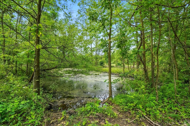 0 Riley Rd, Johnstown, OH 43031 - photo 10