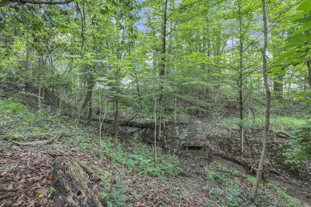 225 Sebaugh Dr, Zanesville, OH 43701 - photo 43