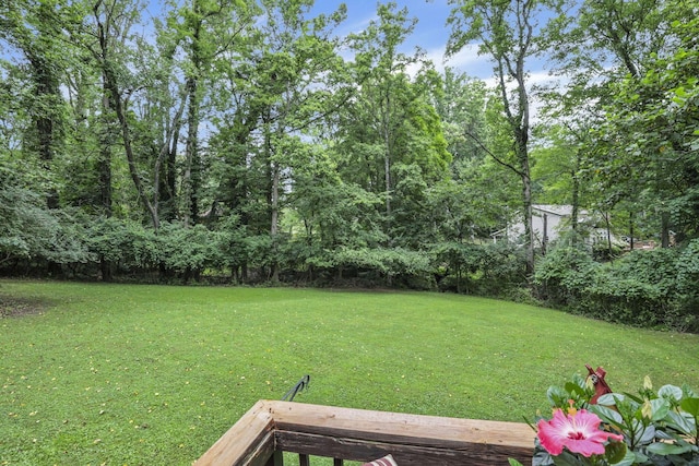 225 Sebaugh Dr, Zanesville, OH 43701 - photo 53
