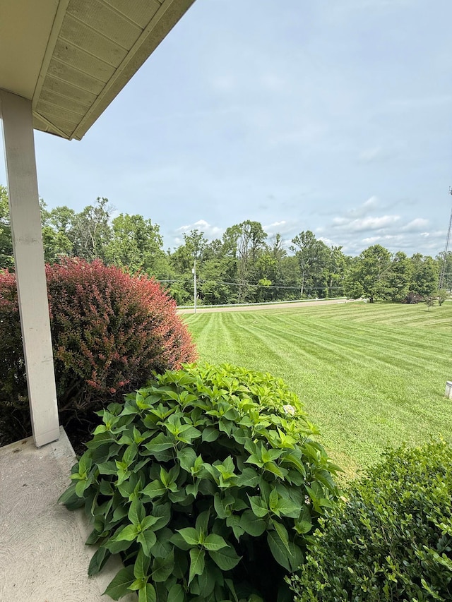 26067 Buena Vista Rd, Rockbridge, OH 43149 - photo 8