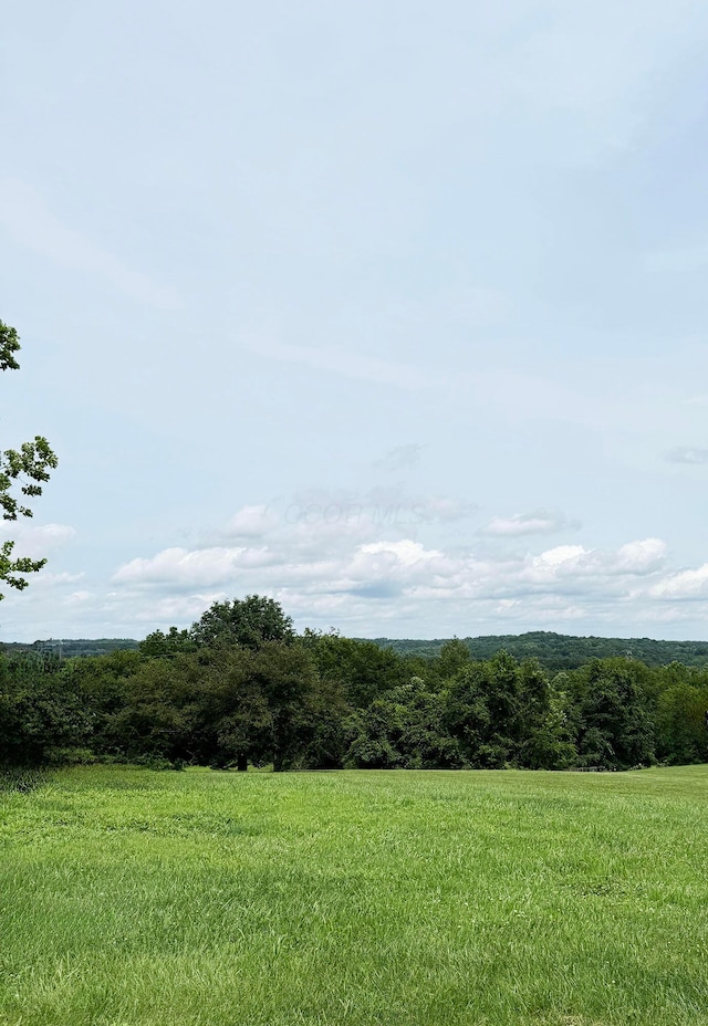 26067 Buena Vista Rd, Rockbridge, OH 43149 - photo 2