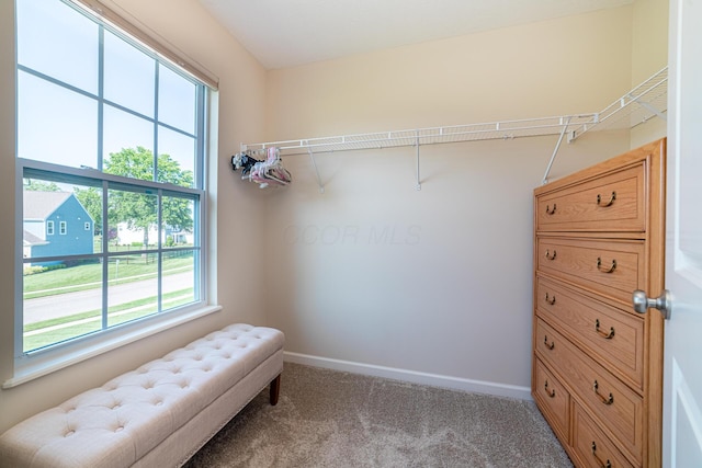 6374 Johnnycake Ln, Galena, OH 43021 - photo 39