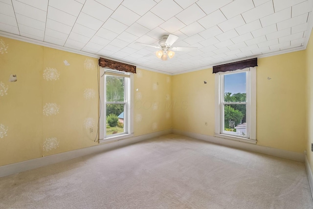 105 Elm St, Prospect, OH 43342 - photo 34
