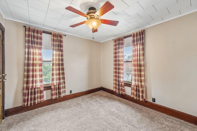 105 Elm St, Prospect, OH 43342 - photo 38