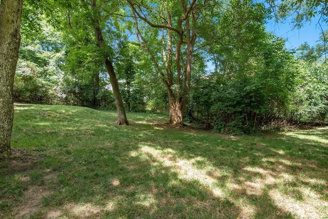 8458 Invergordon Ct, Dublin, OH 43017 - photo 66