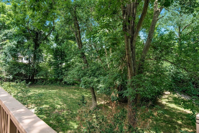 8458 Invergordon Ct, Dublin, OH 43017 - photo 67