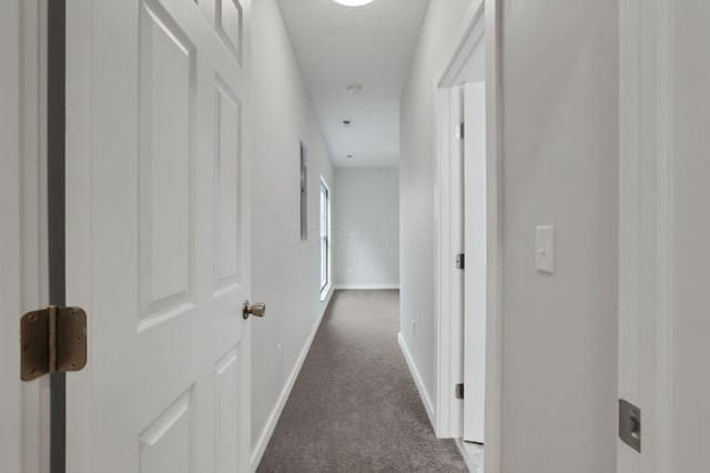 286 Southgate Dr, Columbus, OH 43207 - photo 28