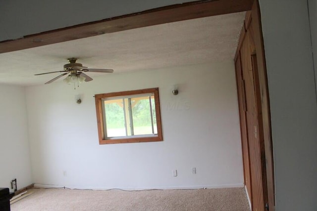 5583 Marion Cardington Rd E, Marion, OH 43302 - photo 9