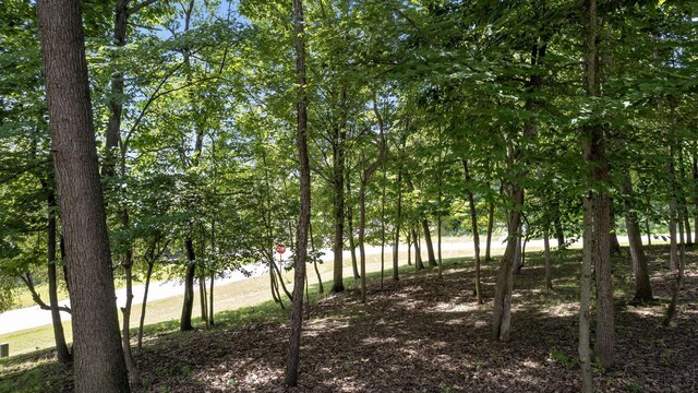 334 Glenridge Cir, Howard, OH 43028 - photo 53