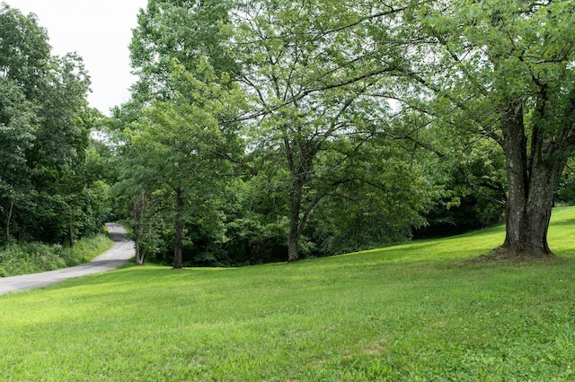 10271 Antle Orchard Rd, Glouster, OH 45732 - photo 79