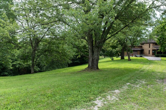 10271 Antle Orchard Rd, Glouster, OH 45732 - photo 3