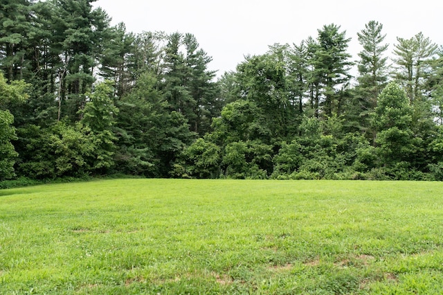 10271 Antle Orchard Rd, Glouster, OH 45732 - photo 8