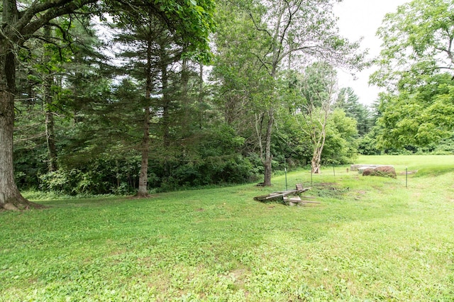 10271 Antle Orchard Rd, Glouster, OH 45732 - photo 9