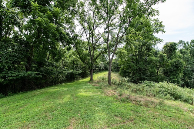 10271 Antle Orchard Rd, Glouster, OH 45732 - photo 72