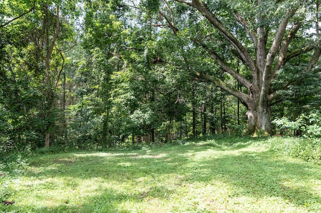 10271 Antle Orchard Rd, Glouster, OH 45732 - photo 75
