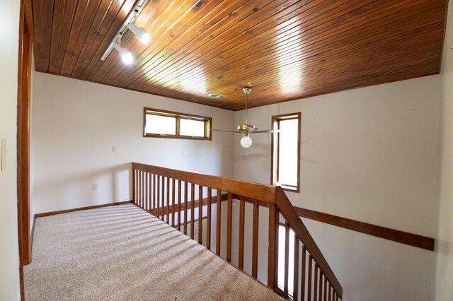 10271 Antle Orchard Rd, Glouster, OH 45732 - photo 33