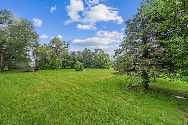 3802 County Road 51, Galion, OH 44833 - photo 5