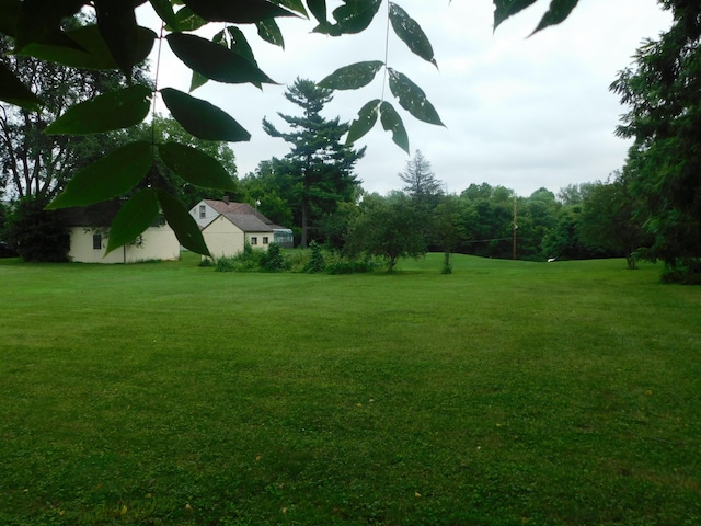 3425 Spangler Rd, Columbus, OH 43207 - photo 9