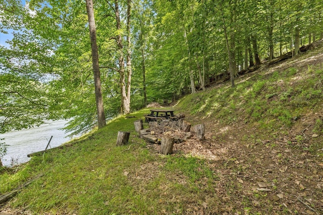 654 Natchez Ln, Sugar Grove, OH 43155 - photo 46