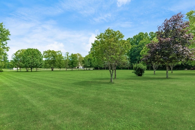 3139 Miller Paul Rd, Galena, OH 43021 - photo 51