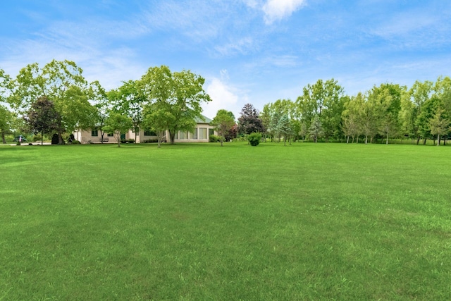 3139 Miller Paul Rd, Galena, OH 43021 - photo 53