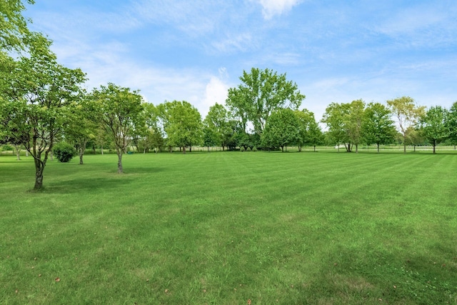 3139 Miller Paul Rd, Galena, OH 43021 - photo 55