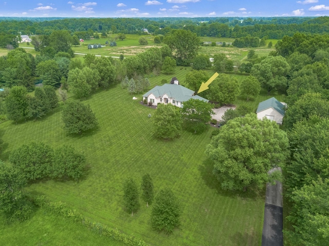 3139 Miller Paul Rd, Galena, OH 43021 - photo 57