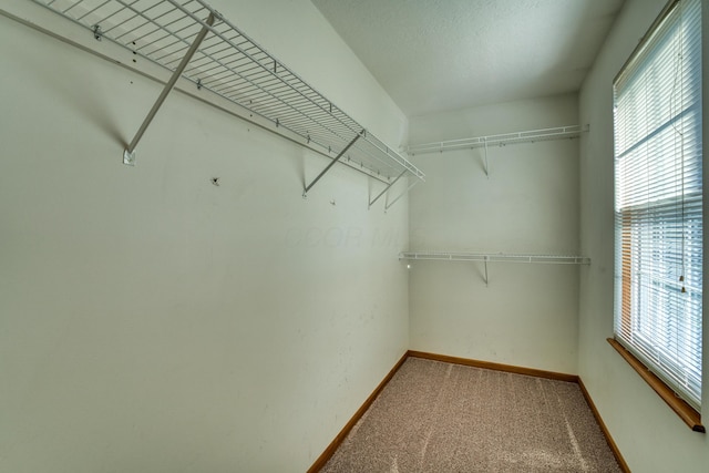 8470 Loudon Street Rd, Johnstown, OH 43031 - photo 25