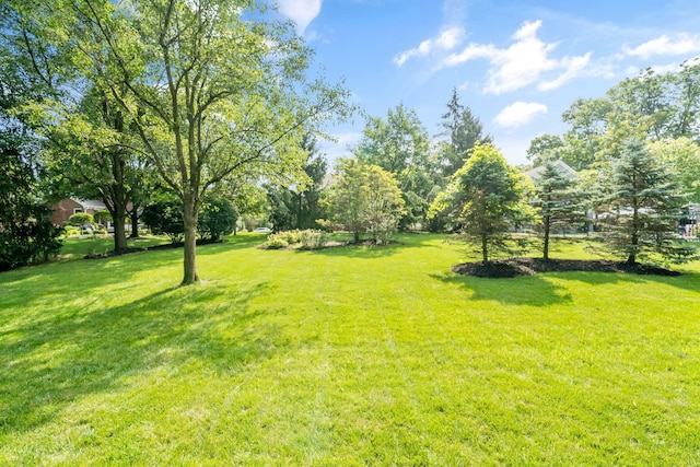321 Ashmoore Cir W, Powell, OH 43065 - photo 41