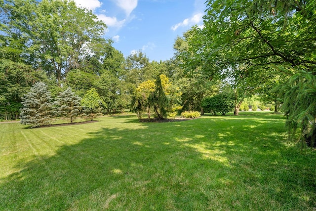 321 Ashmoore Cir W, Powell, OH 43065 - photo 49