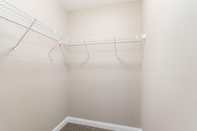 165 Cloverhill Dr, Galloway, OH 43119 - photo 30