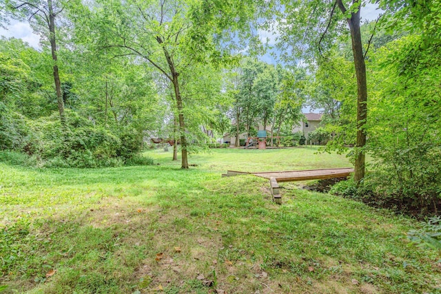 246 Dogwood Dr, Delaware, OH 43015 - photo 50