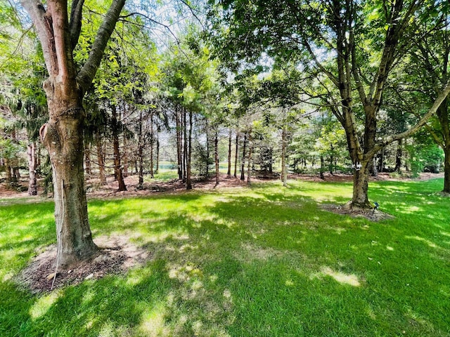 5386 Medallion Dr W, Westerville, OH 43082 - photo 49