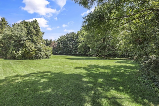 6845 Taylor Rd, Blacklick, OH 43004 - photo 53