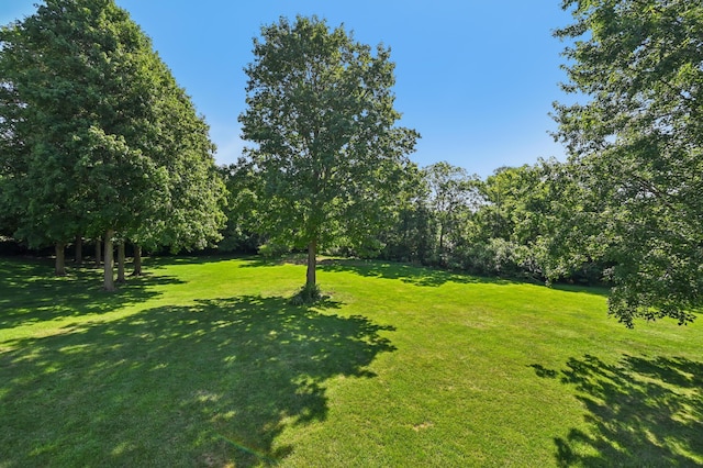 1154 Allison Rd, Bellefontaine, OH 43311 - photo 53