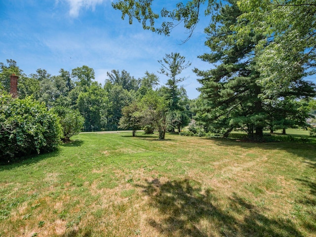 5720 County Road 30, Mount Gilead, OH 43338 - photo 34