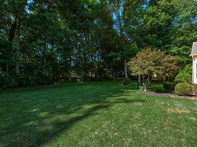 4781 Glanstonbury Dr, Hilliard, OH 43026 - photo 65
