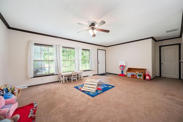 59937 Murphy Remy Rd, Mcarthur, OH 45651 - photo 13