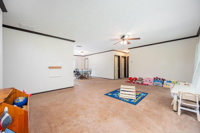 59937 Murphy Remy Rd, Mcarthur, OH 45651 - photo 14