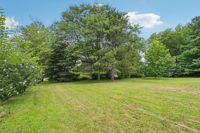 6565 S Section Line Rd, Delaware, OH 43015 - photo 36